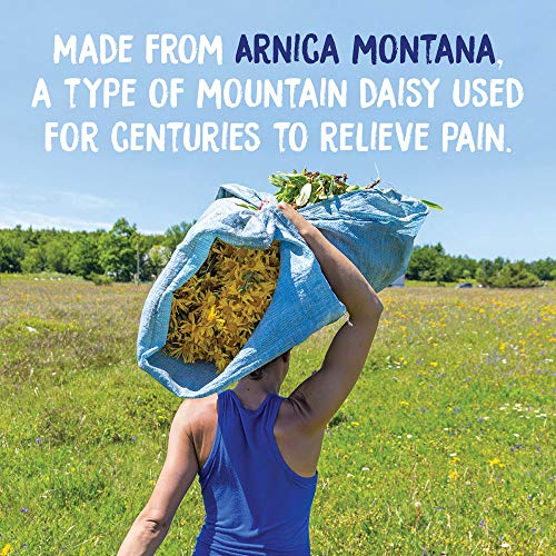 Arnica Montana Medicina homeopática Antiinflamatorio de la Naturaleza